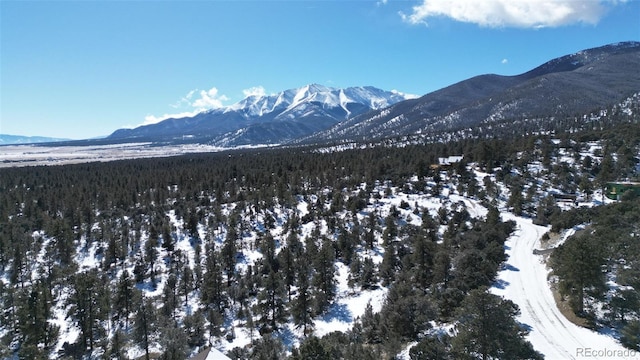 30110 Princeton Hls, Buena Vista, CO 81211