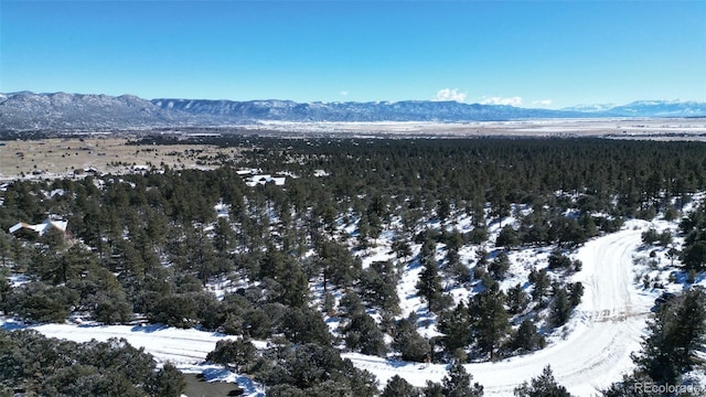 30110 Princeton Hls, Buena Vista, CO 81211