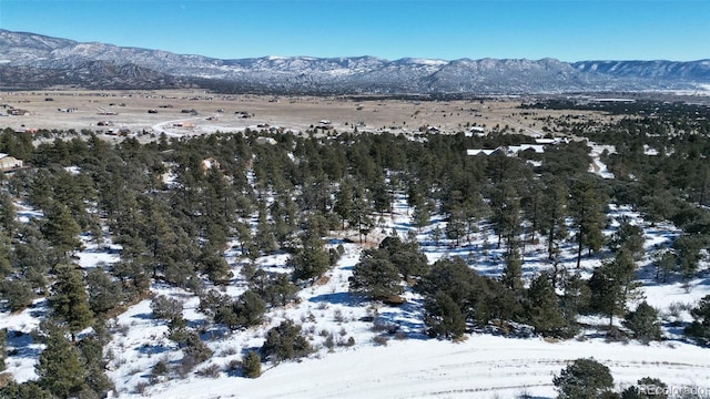 30110 Princeton Hls, Buena Vista, CO 81211