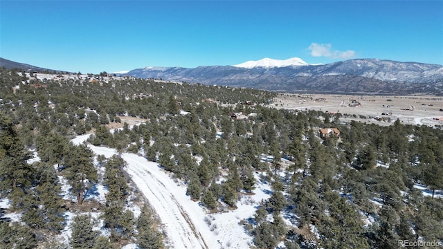30110 Princeton Hls, Buena Vista, CO 81211