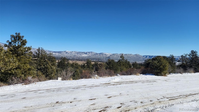 30110 Princeton Hls, Buena Vista, CO 81211