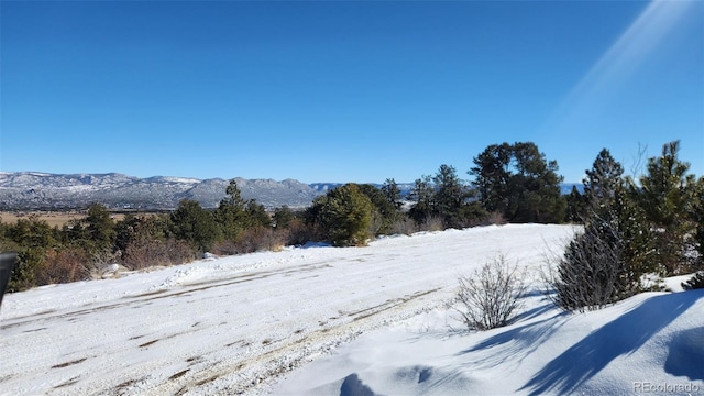 30110 Princeton Hls, Buena Vista, CO 81211