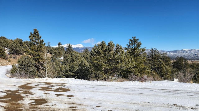 30110 Princeton Hls, Buena Vista, CO 81211