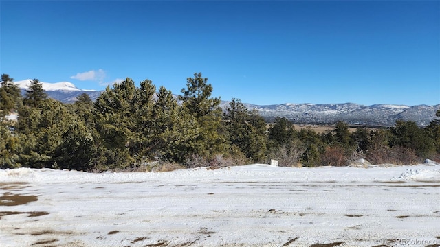 30110 Princeton Hls, Buena Vista, CO 81211