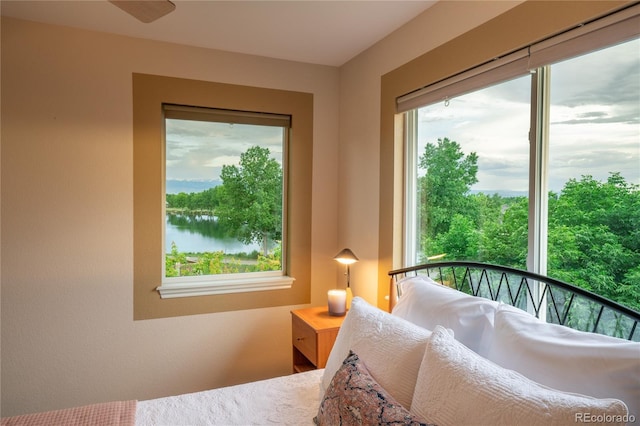 1647 Harris Ct, Erie, CO 80516 - photo 16