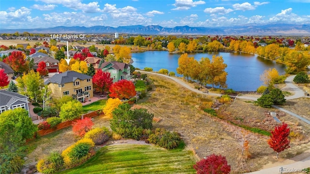 1647 Harris Ct, Erie, CO 80516 - photo 45