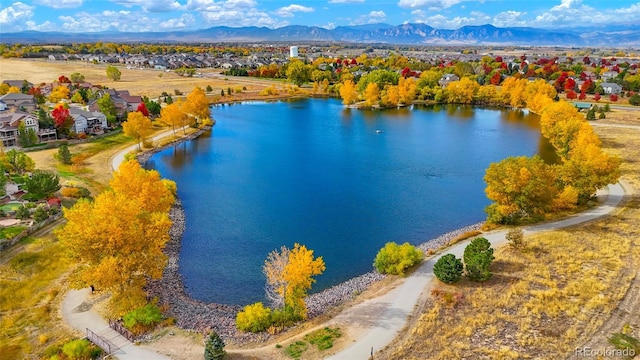 1647 Harris Ct, Erie, CO 80516 - photo 46