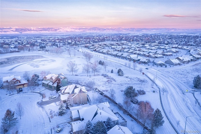 1647 Harris Ct, Erie, CO 80516 - photo 50