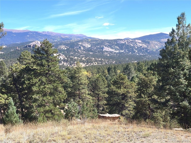 County Road 12, Florissant, CO 80816