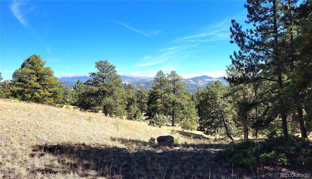 County Road 12, Florissant, CO 80816