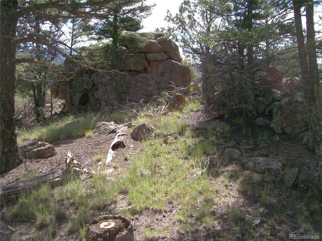 County Road 12, Florissant, CO 80816