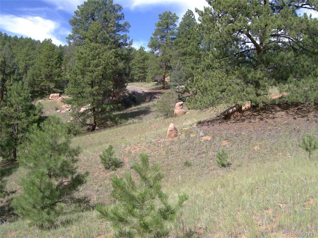 County Road 12, Florissant, CO 80816