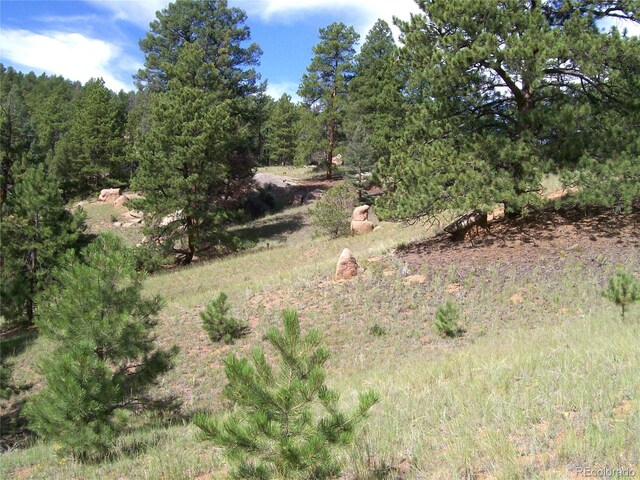 County Road 12, Florissant, CO 80816
