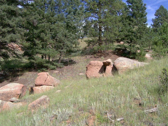 County Road 12, Florissant, CO 80816
