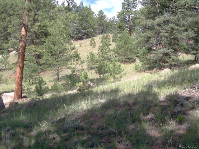 County Road 12, Florissant, CO 80816