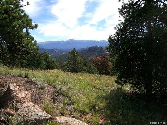 County Road 12, Florissant, CO 80816