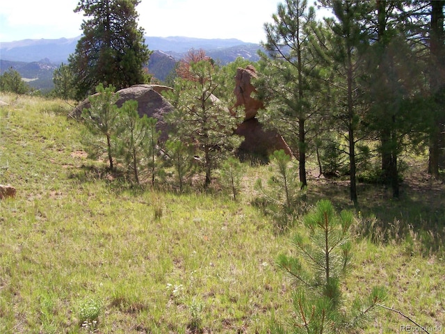 County Road 12, Florissant, CO 80816