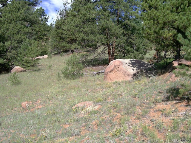 County Road 12, Florissant, CO 80816