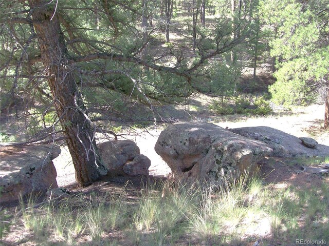 County Road 12, Florissant, CO 80816