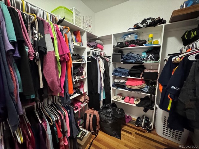 spacious closet with wood finished floors