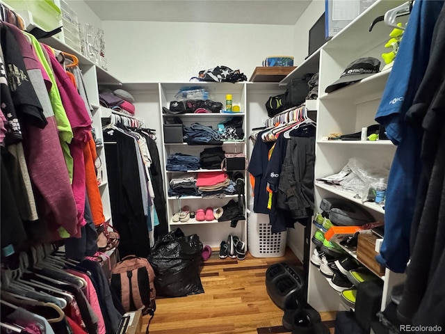 walk in closet with wood finished floors