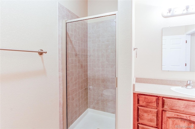 107 Carina Cir, Loveland, CO 80537 - full bath featuring a shower stall and vanity