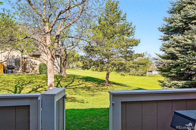 view of green lawn