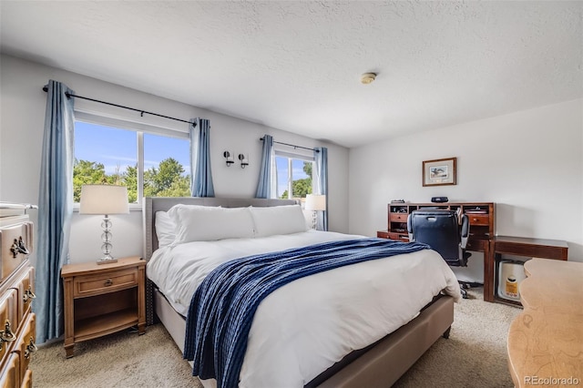 7370 Devinney Ct, Arvada, CO 80005 - photo 19