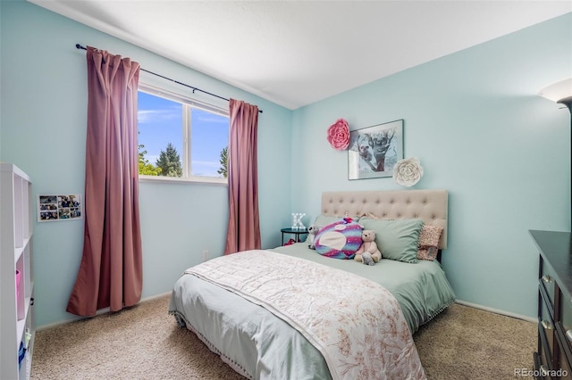 7370 Devinney Ct, Arvada, CO 80005 - photo 23