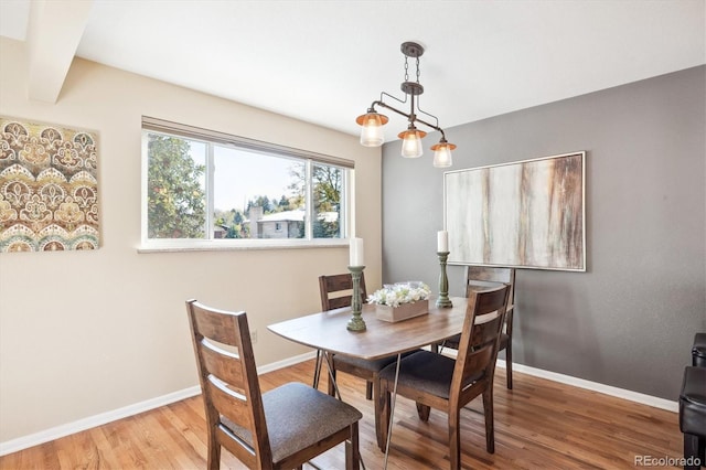 dining room with hardwood / wood-style floors