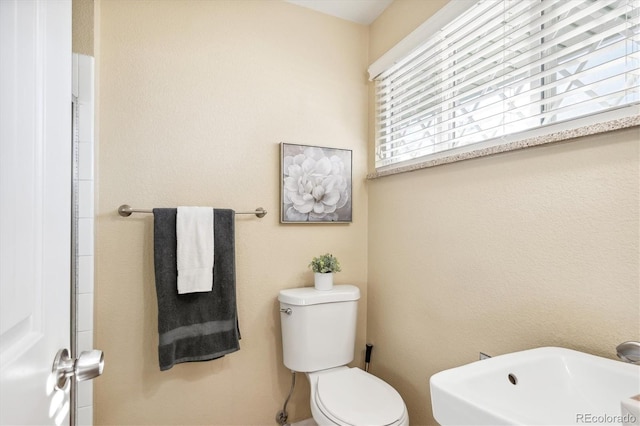 bathroom with toilet and sink