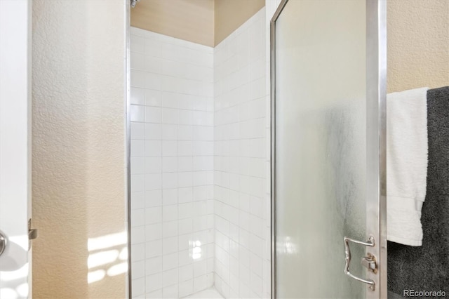 bathroom featuring a shower with shower door