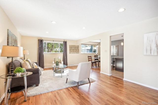 living room featuring light hardwood / wood-style flooring