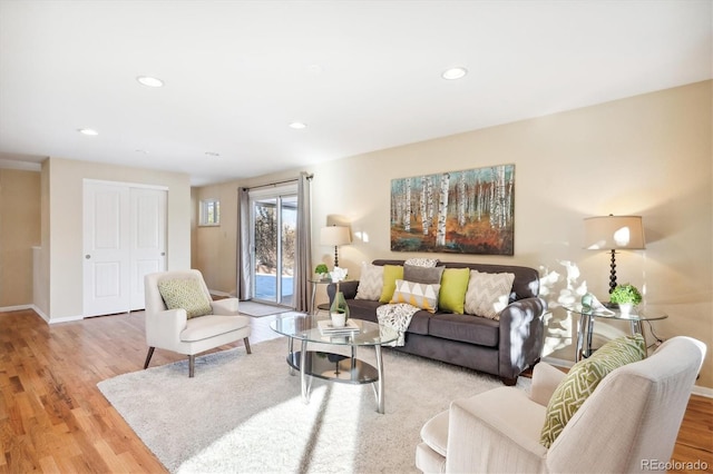 living room with light wood-type flooring