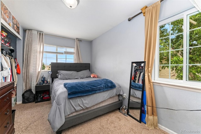 3823 Ireland St, Denver, CO 80249 - photo 12