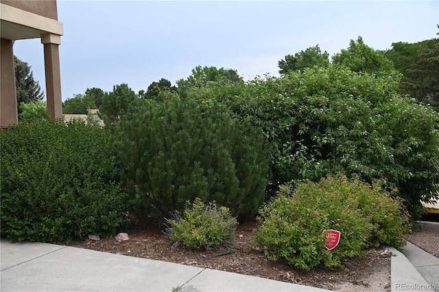 2642 Lynbarton Pt, Colorado Springs, CO 80918 - photo 2