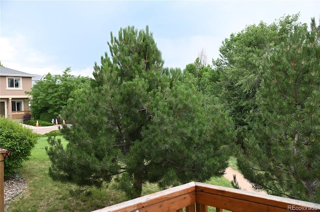 2642 Lynbarton Pt, Colorado Springs, CO 80918 - photo 8