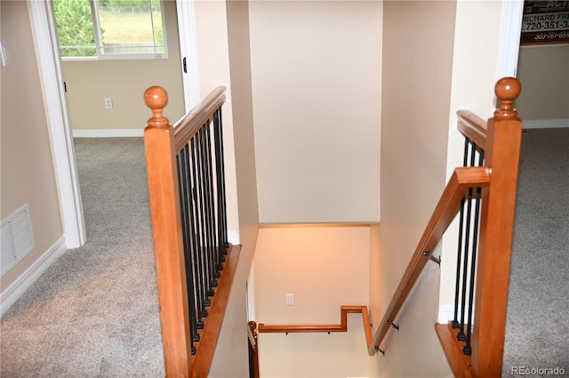 2642 Lynbarton Pt, Colorado Springs, CO 80918 - photo 13