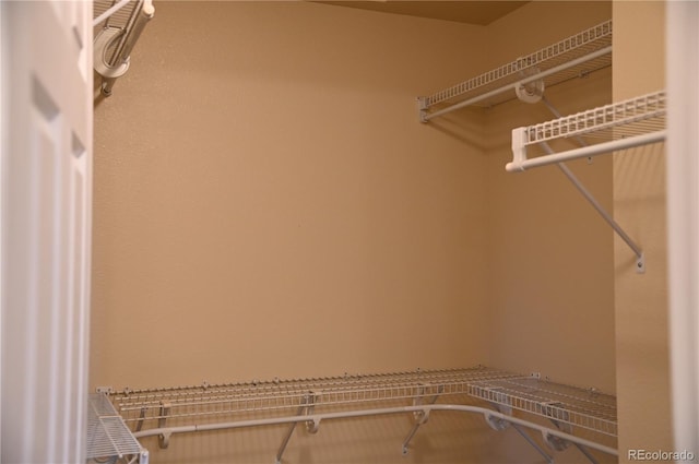 2642 Lynbarton Pt, Colorado Springs, CO 80918 - photo 16