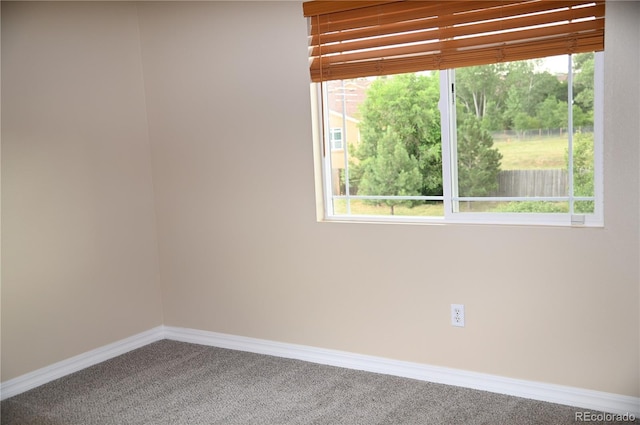 2642 Lynbarton Pt, Colorado Springs, CO 80918 - photo 21