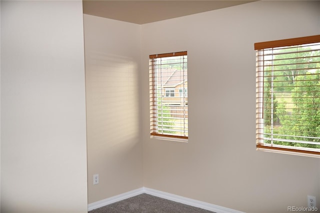 2642 Lynbarton Pt, Colorado Springs, CO 80918 - photo 25
