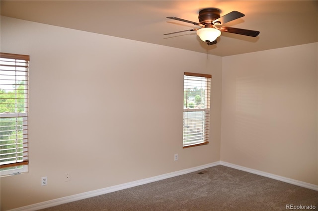 2642 Lynbarton Pt, Colorado Springs, CO 80918 - photo 27