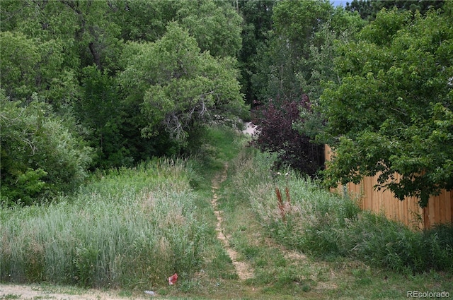 2642 Lynbarton Pt, Colorado Springs, CO 80918 - photo 33