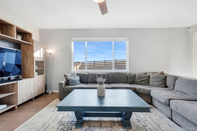 living room featuring ceiling fan and dark hardwood / wood-style floors