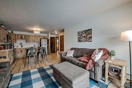 1143 Straight Creek Dr Unit H103, Dillon, CO 80435 - living room featuring light wood-type flooring and a textured ceiling