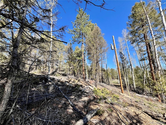 1439 Bellows Rd, Hartsel, CO 80449 - photo 1