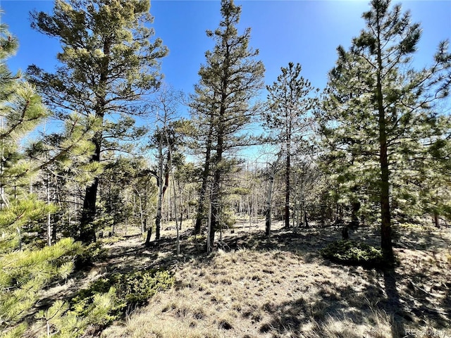 1439 Bellows Rd, Hartsel, CO 80449 - photo 2
