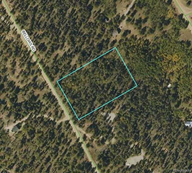 1439 Bellows Rd, Hartsel, CO 80449 - photo 4