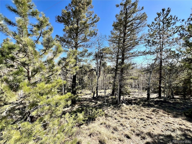 1439 Bellows Rd, Hartsel, CO 80449 - photo 7