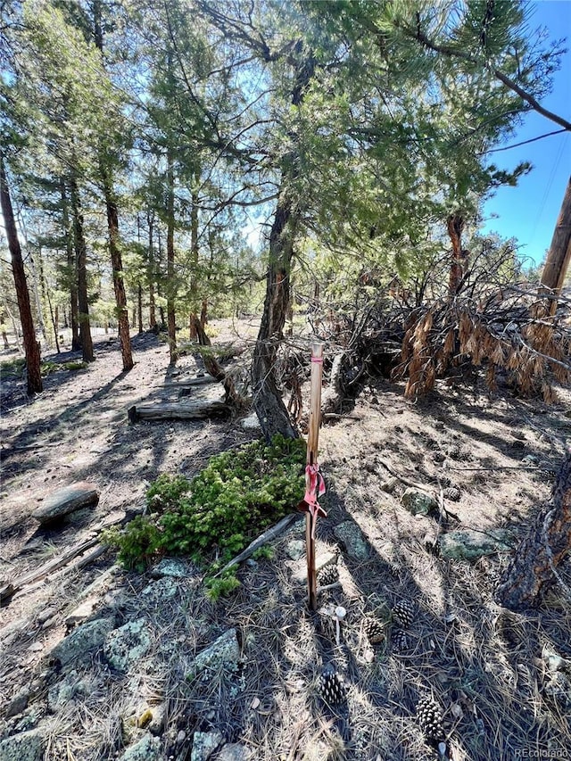 1439 Bellows Rd, Hartsel, CO 80449 - photo 8